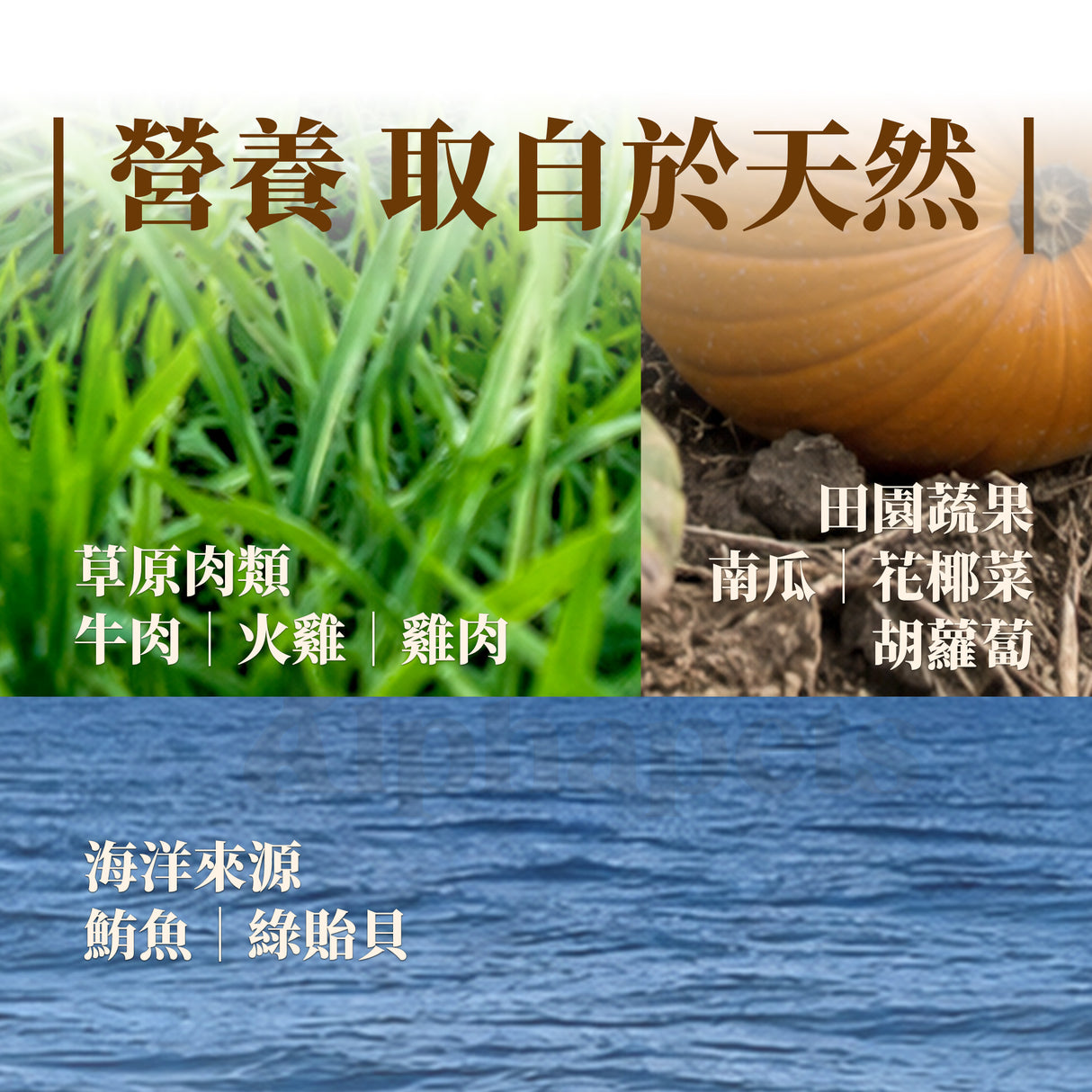 Eatmee 易特咪 Party Pate 肉派主食罐 5種口味 90gx24罐 / 箱【*自由搭24罐 隨意下單任一項,訂單備註口味及數量即可】