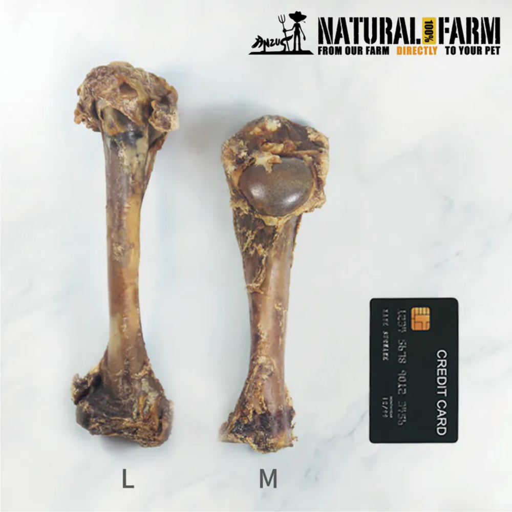 NATURAL FARM 自然牧場 單支耐咬系列 鹿腿骨 單入 M號