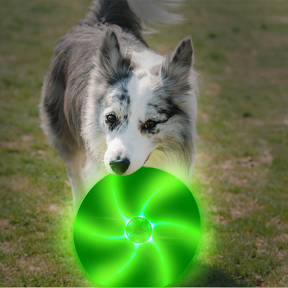 LaRoo 萊諾 寵物外出LED發光飛盤 可切換發光模式