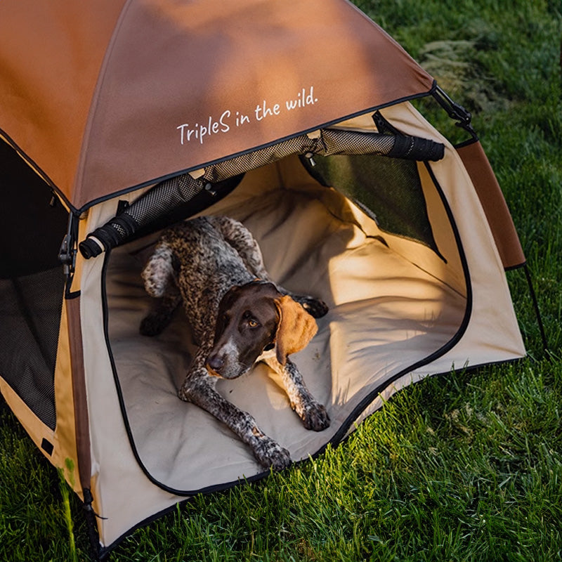 BlackDoggy 寵物戶外帳篷 防潑水 自動桿架 寵物窩