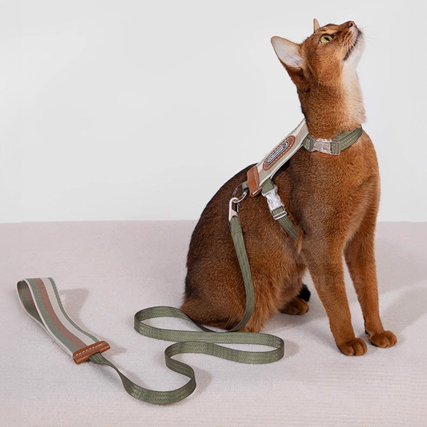 HiDREAM 貓咪條紋胸背牽繩套組 寵物牽繩 胸背帶