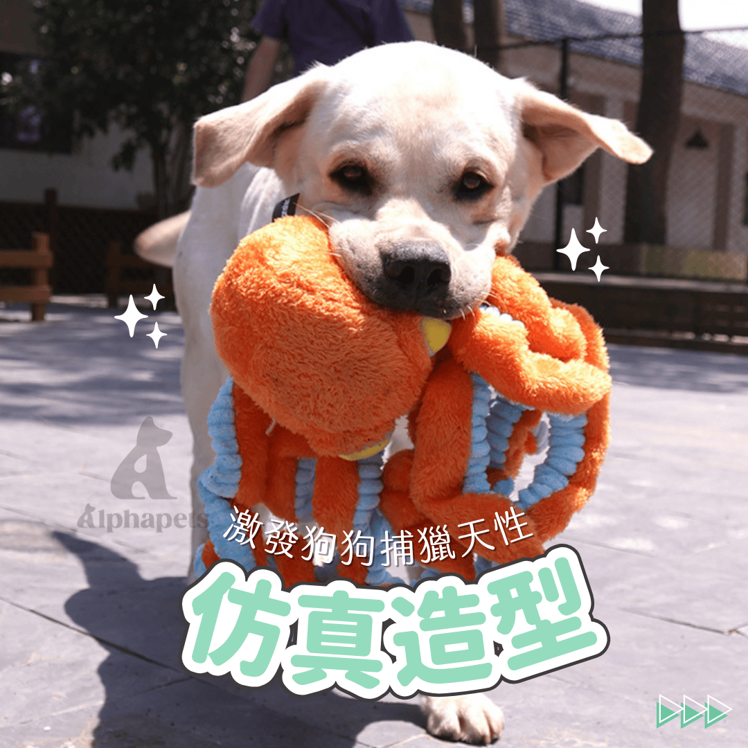 Q-MONSTER 大章魚毛絨玩具