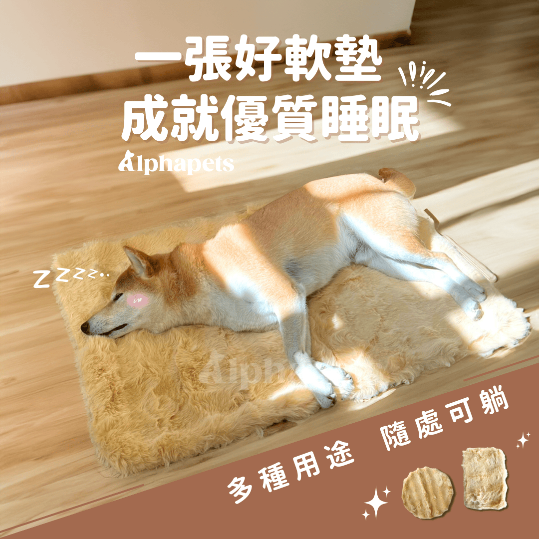 泡泡絨寵物暖墊 貓狗睡墊 多種尺寸