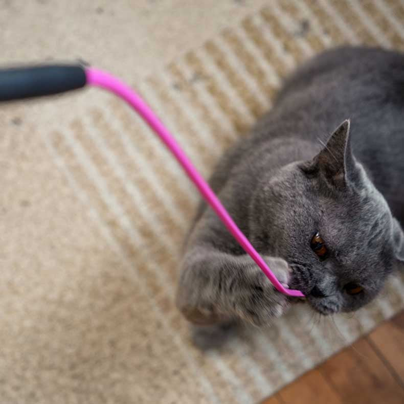 Q-MONSTER 小皮鞭逗貓棒 矽膠逗貓棒 矽膠條可替換