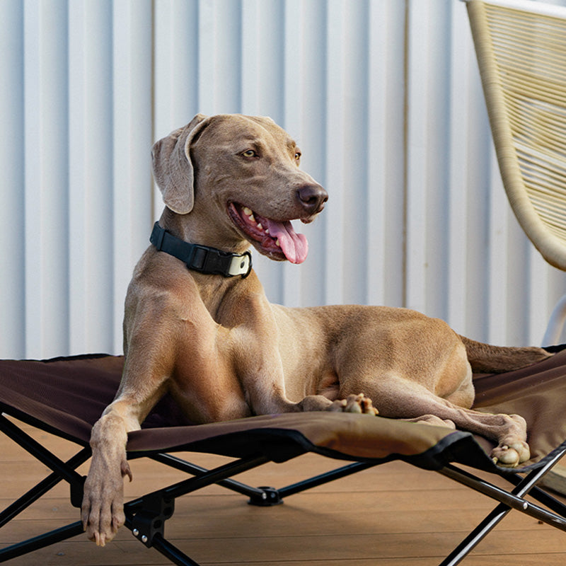 BlackDoggy 寵物戶外防潑水摺疊行軍床 / 專用睡墊 寵物床