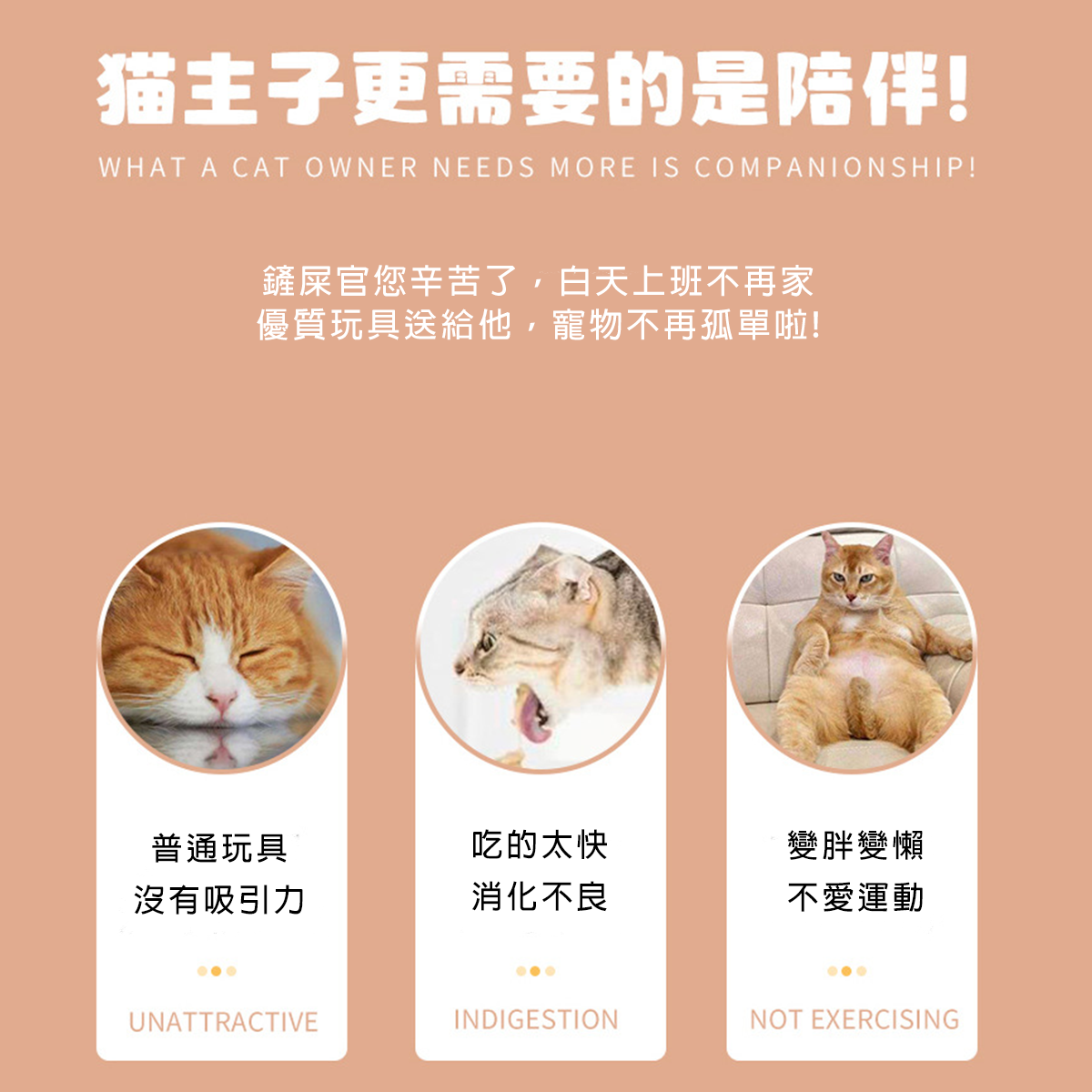 貓漏食互動玩具 寵物藏食玩具 互動玩具 貓咪玩具球 逗貓球 貓咪益智玩具