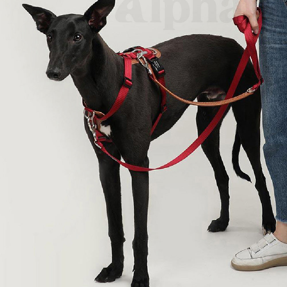 HIDREAM 多功能斜挎牽繩 寵物牽繩 5色