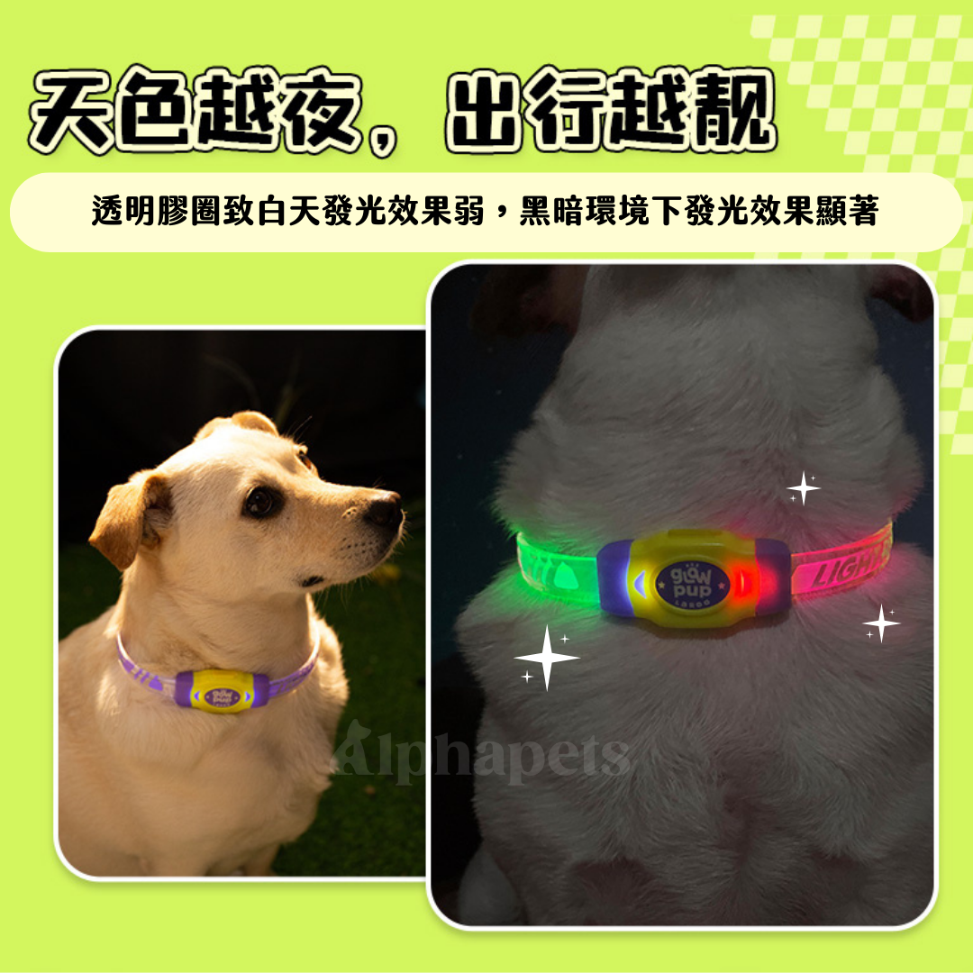 LaRoo萊諾 咔啦發光項圈 可剪裁 4色