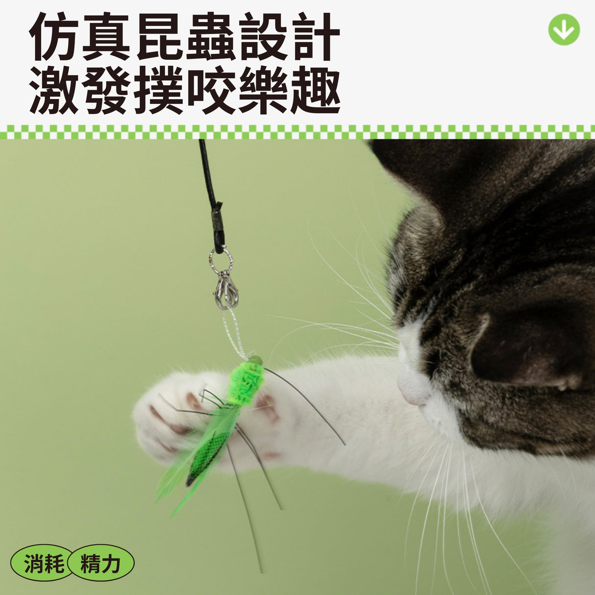 QMONSTER真皮貓玩具系列 & 仿真小昆蟲系列