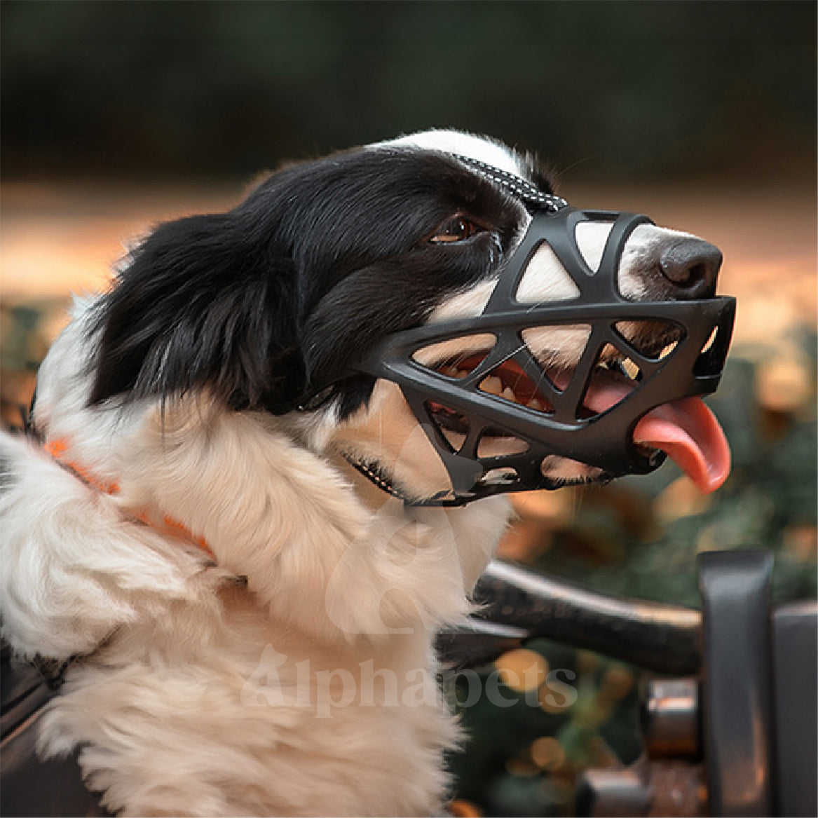 狗嘴套 寵物嘴套 有頭帶款 透氣可調節 3M反光織帶 S / M / L / XL