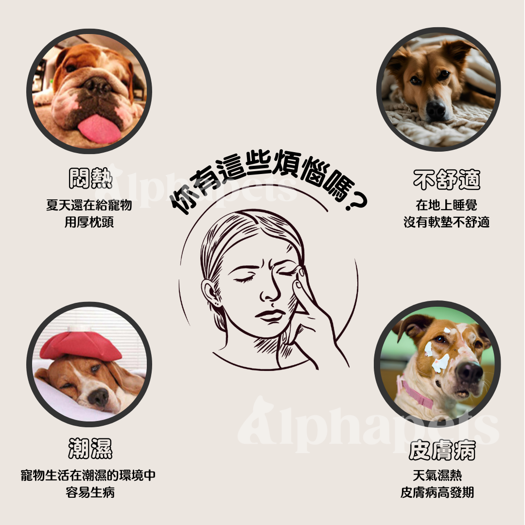 阿卡迪行軍床 寵物睡墊 狗床墊 2種顏色