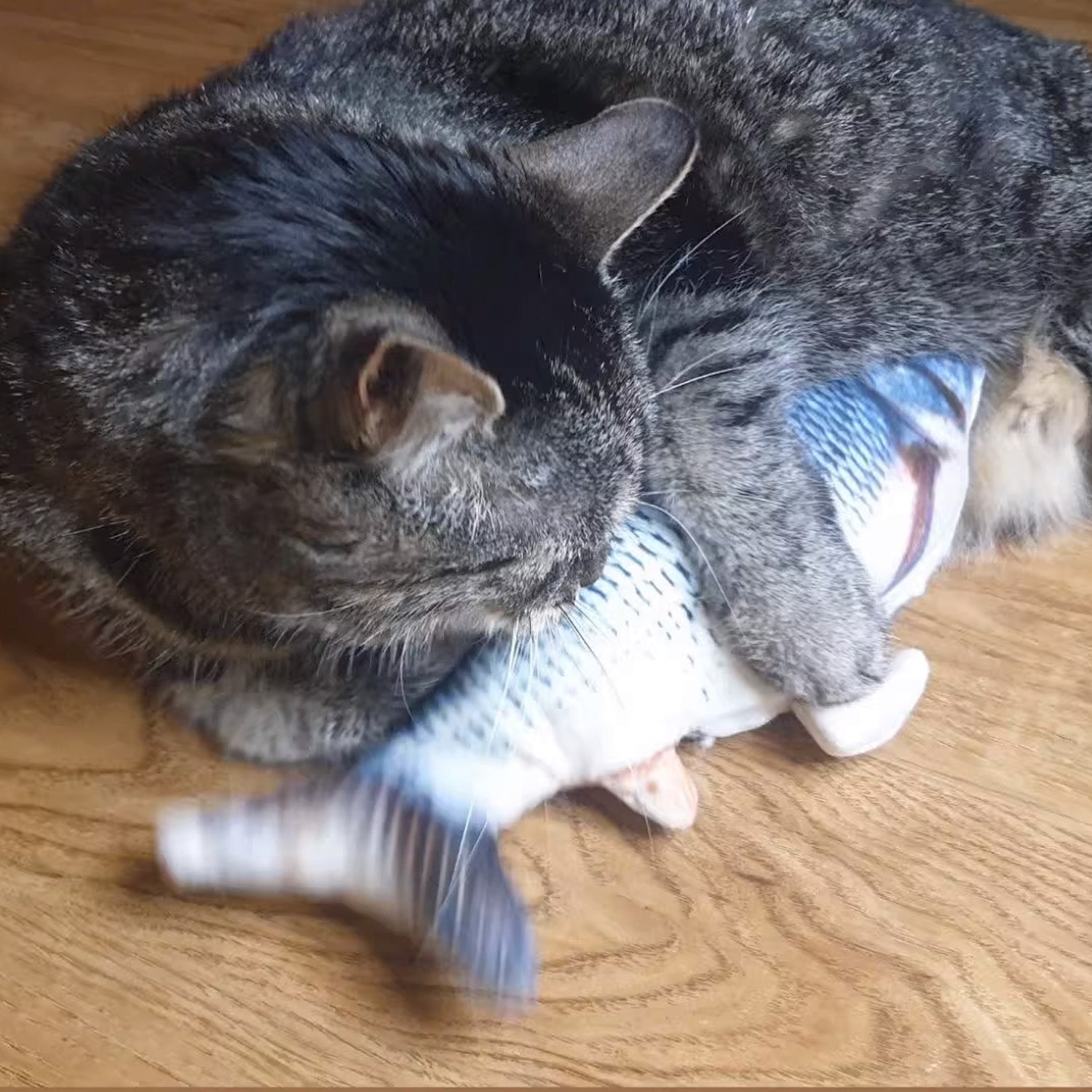 貓薄荷仿真電動魚玩具 4種魚 USB充電