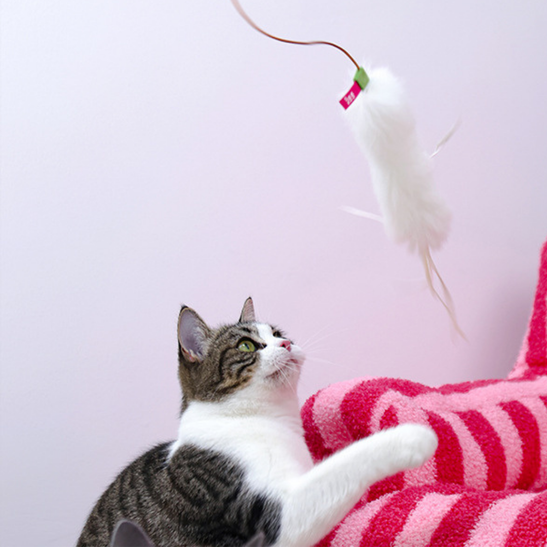 Q-MONSTER 真皮逗貓棒