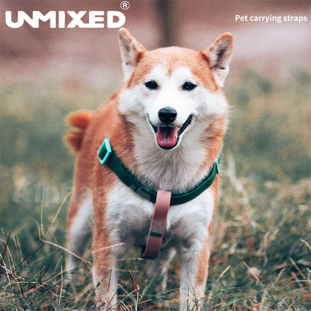 UNMIXED 活力MIX系列 PVC防水寵物項圈 2種尺寸