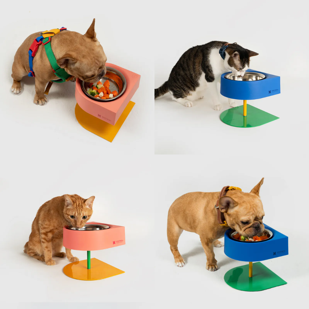 SPUTNIK 10TH YEAR︱增高防蟻碗 - 粉色 - 藍色