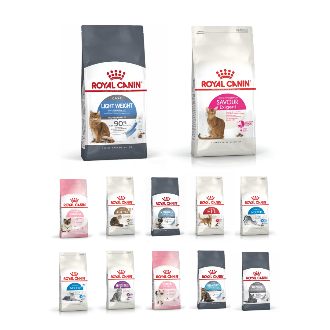 ROYALCANIN 法國皇家 貓乾糧