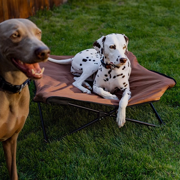 BlackDoggy 寵物戶外防潑水摺疊行軍床 / 專用睡墊 寵物床