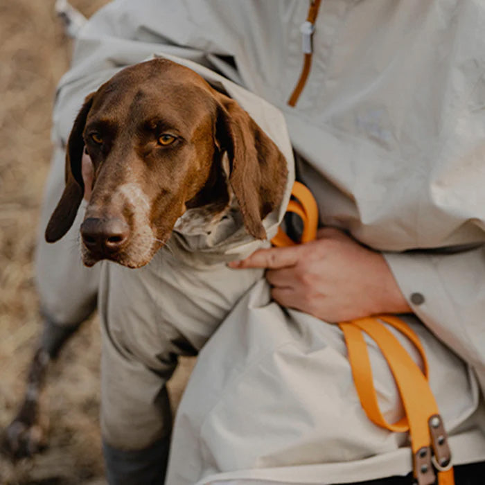 BlackDoggy 寵物戶外防風防潑水衝鋒雨衣 3色 多款尺寸 + 柯基專用款