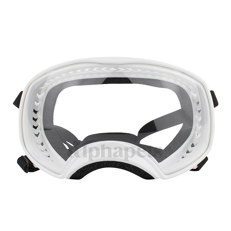 通用型 寵物大框眼鏡 寵物眼睛防護 寵物護目鏡