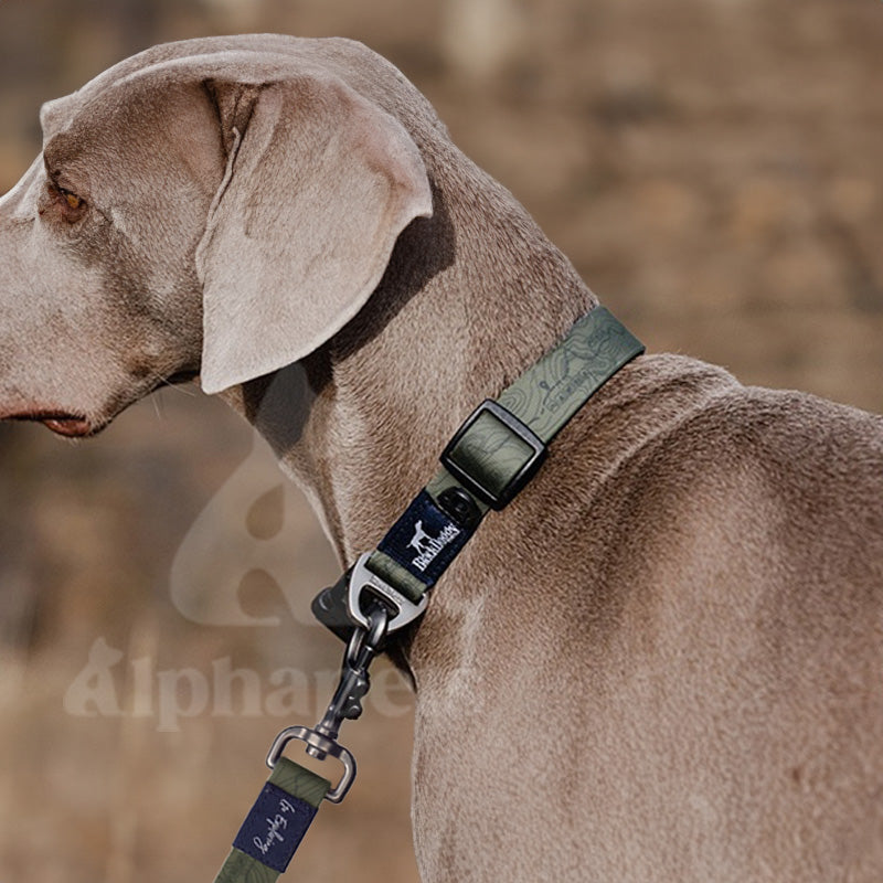 BlackDoggy 等高線寵物外出防水項圈 / 牽繩