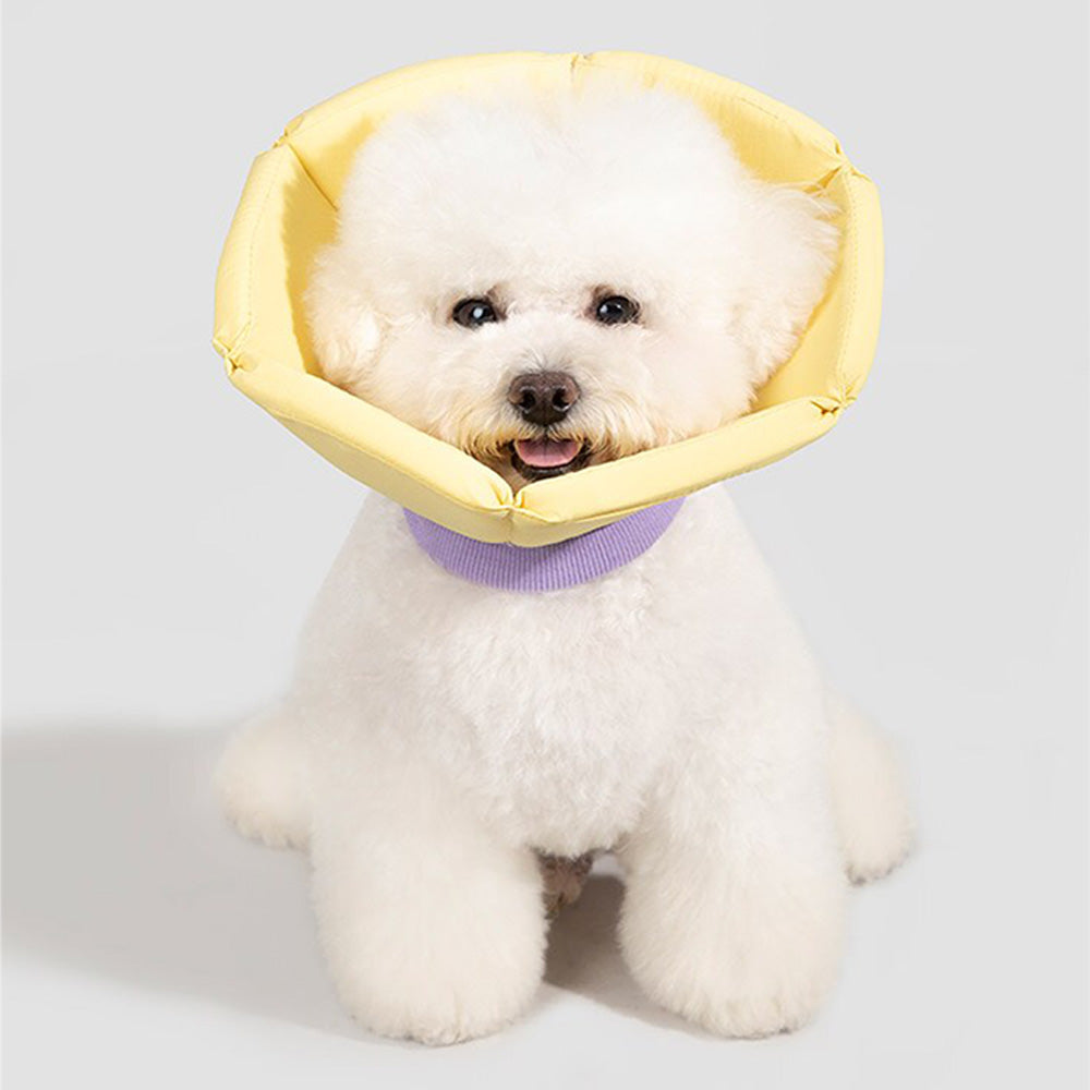 HiDREAM 海綿錐形伊麗莎白圈 防護頭套 寵物頭套 2色