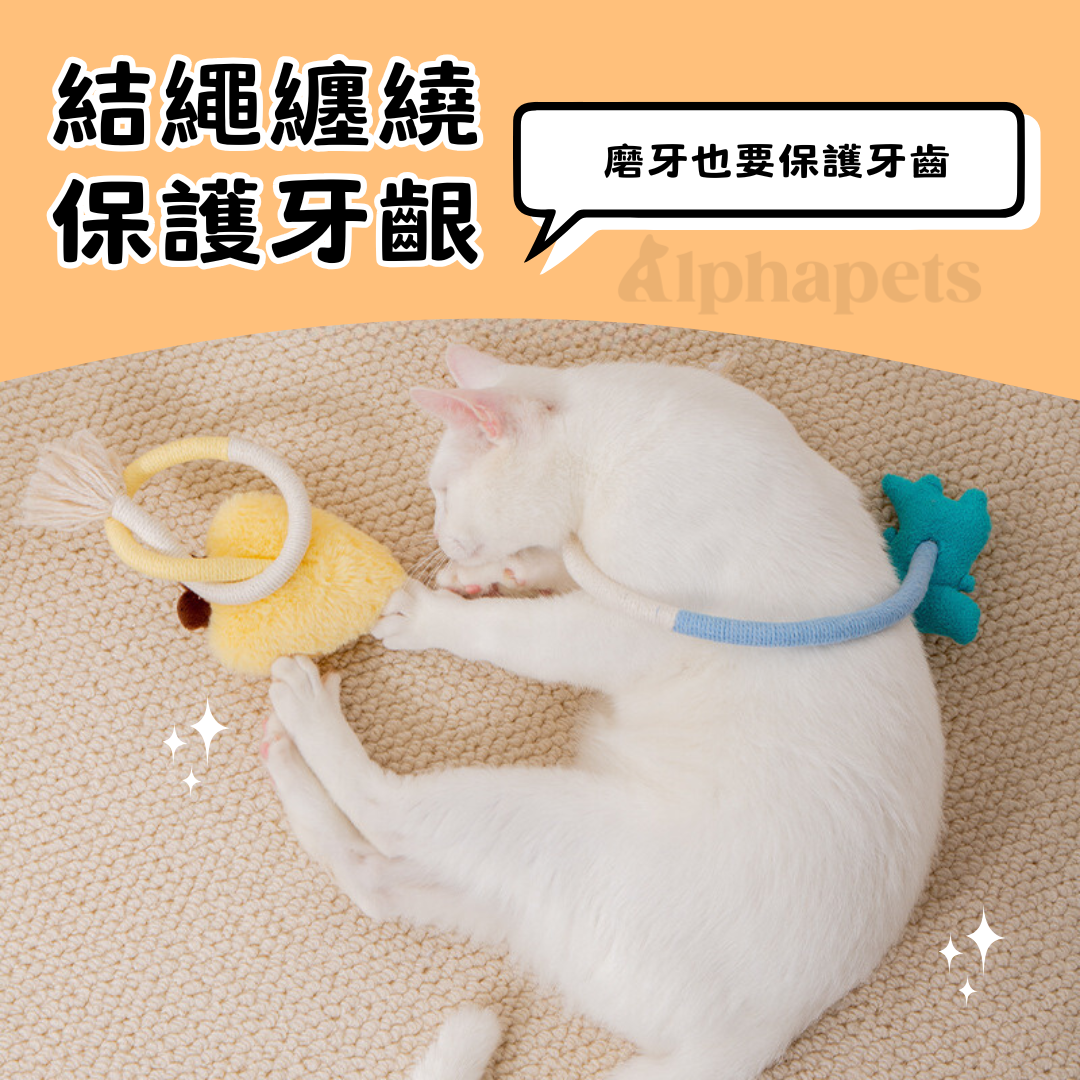 咬咬繩玩具 4種款式