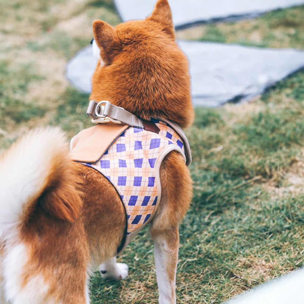 UNMIXED 倫敦學院風 寵物胸背帶+牽繩組 4種尺寸