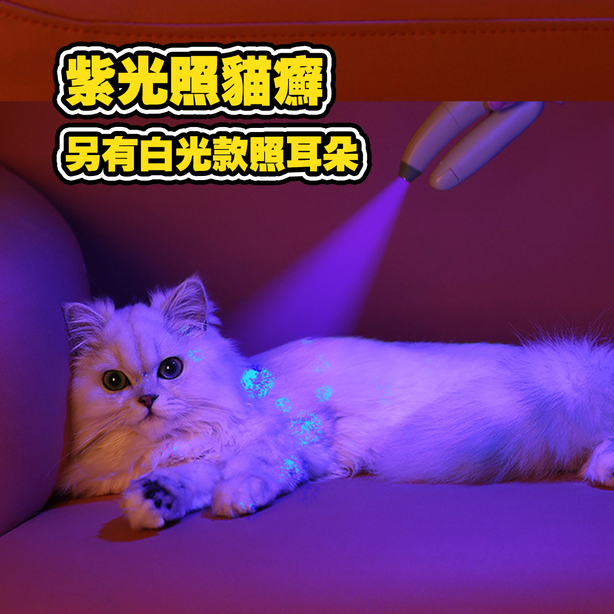 AIWO艾窩 LED發光香蕉指甲剪 附銼刀 發光寵物指甲剪 貓咪指甲剪 狗狗指甲剪 安全指甲剪