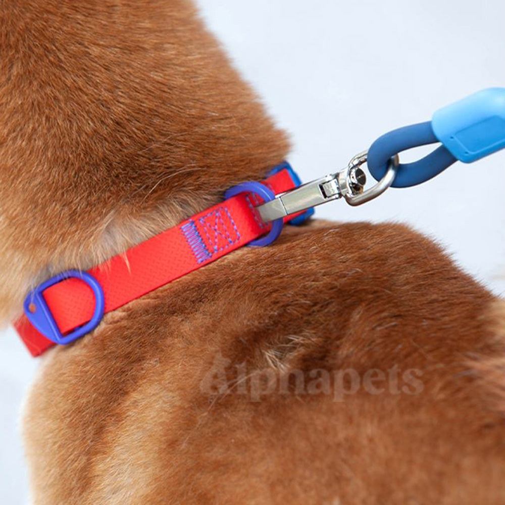 UNMIXED 活力MIX系列 PVC防水寵物外出牽繩 2種尺寸