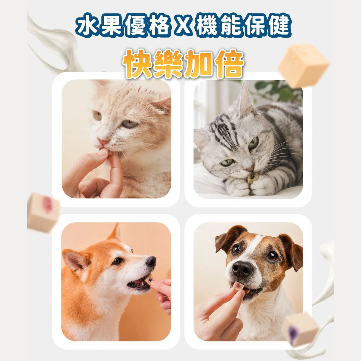 飼糧倉 × 知覺 水果優格凍乾 15g|活力藍莓・舒壓草莓・清新蜂蜜