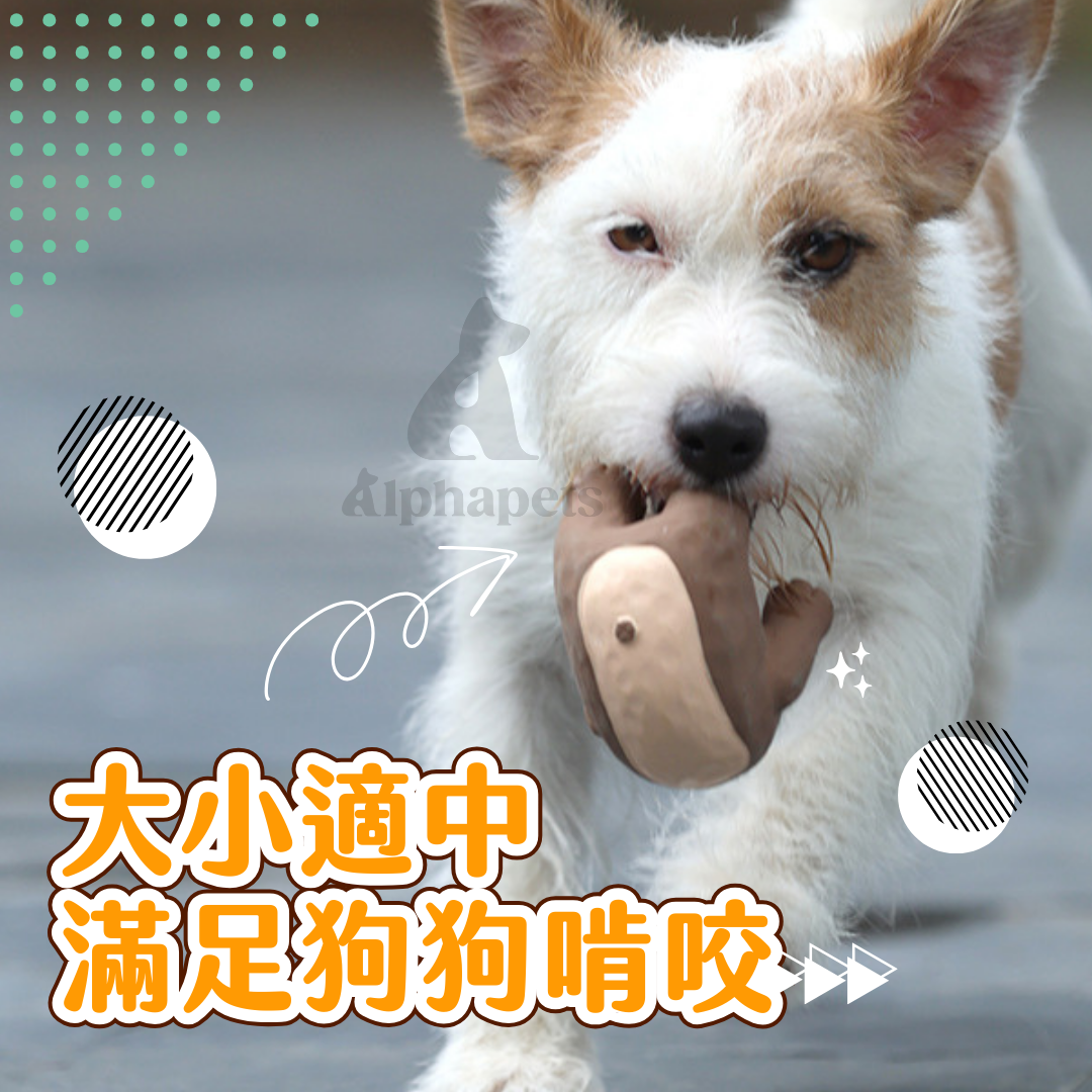 Q-MONSTER 下腰系列 乳膠玩具