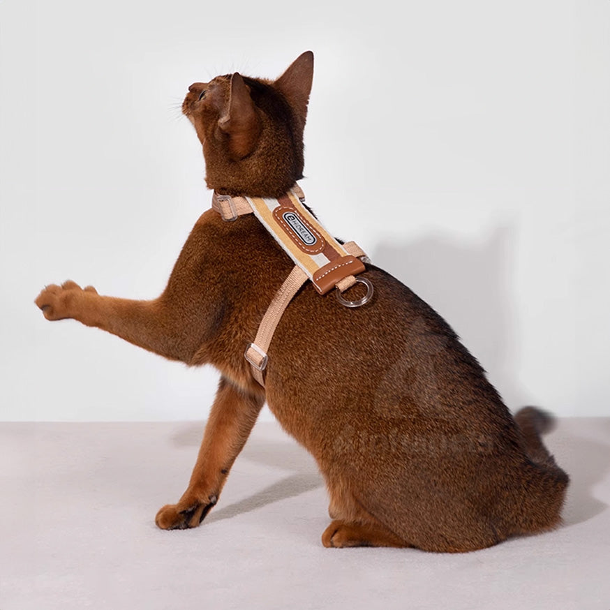 HiDREAM 貓咪條紋胸背牽繩套組 寵物牽繩 胸背帶
