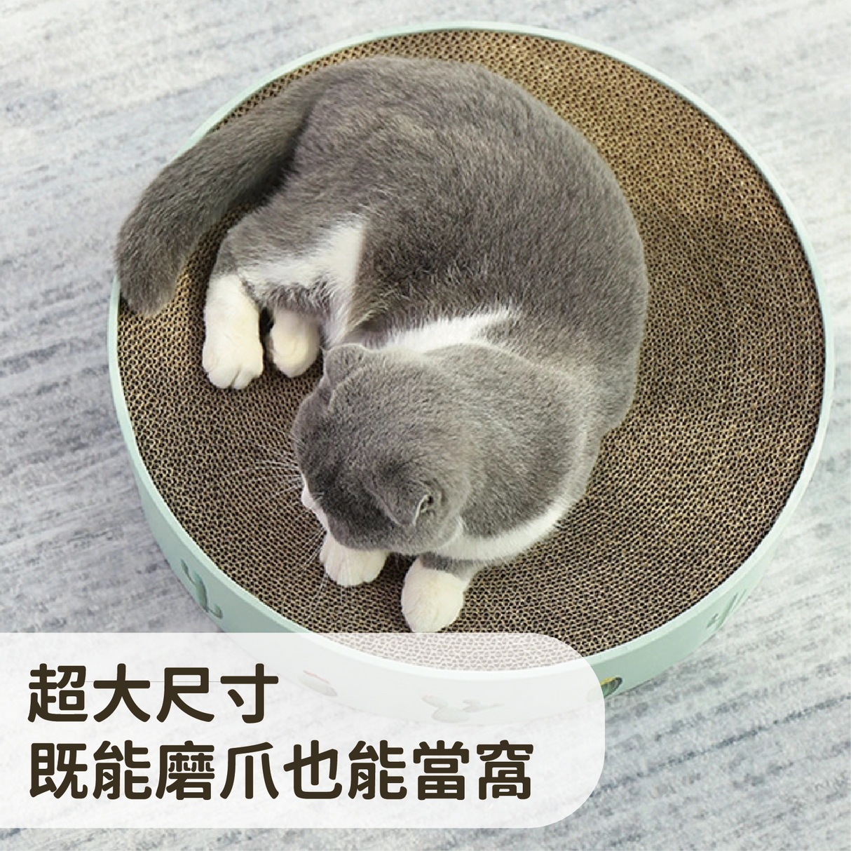 貓爪印 圓形瓦楞紙貓抓盆