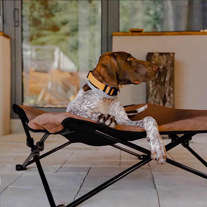 BlackDoggy 寵物戶外防潑水摺疊行軍床 / 專用睡墊 寵物床