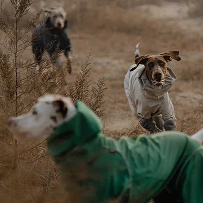 BlackDoggy 寵物戶外防風防潑水衝鋒雨衣 3色 多款尺寸 + 柯基專用款