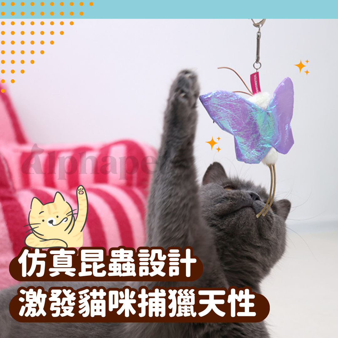 QMONSTER 昆蟲系列 響紙鈴鐺玩具