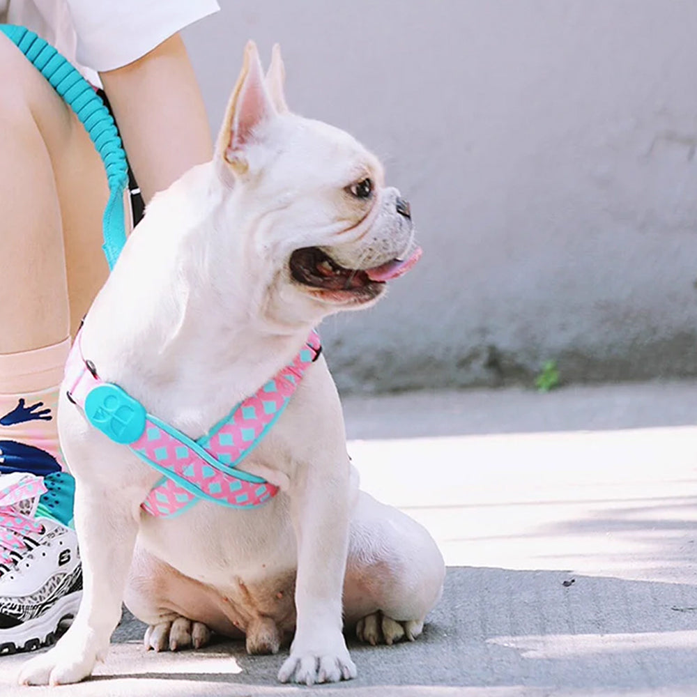 HiDREAM 繽紛PRO系列 X戰甲胸背帶 寵物胸背帶&牽繩 5款