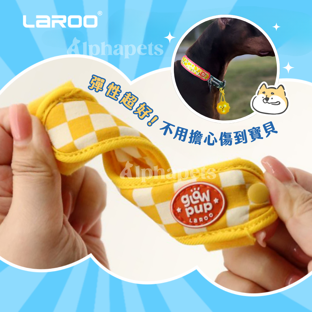 LaRoo萊諾 咔啦發光百搭帶 8色