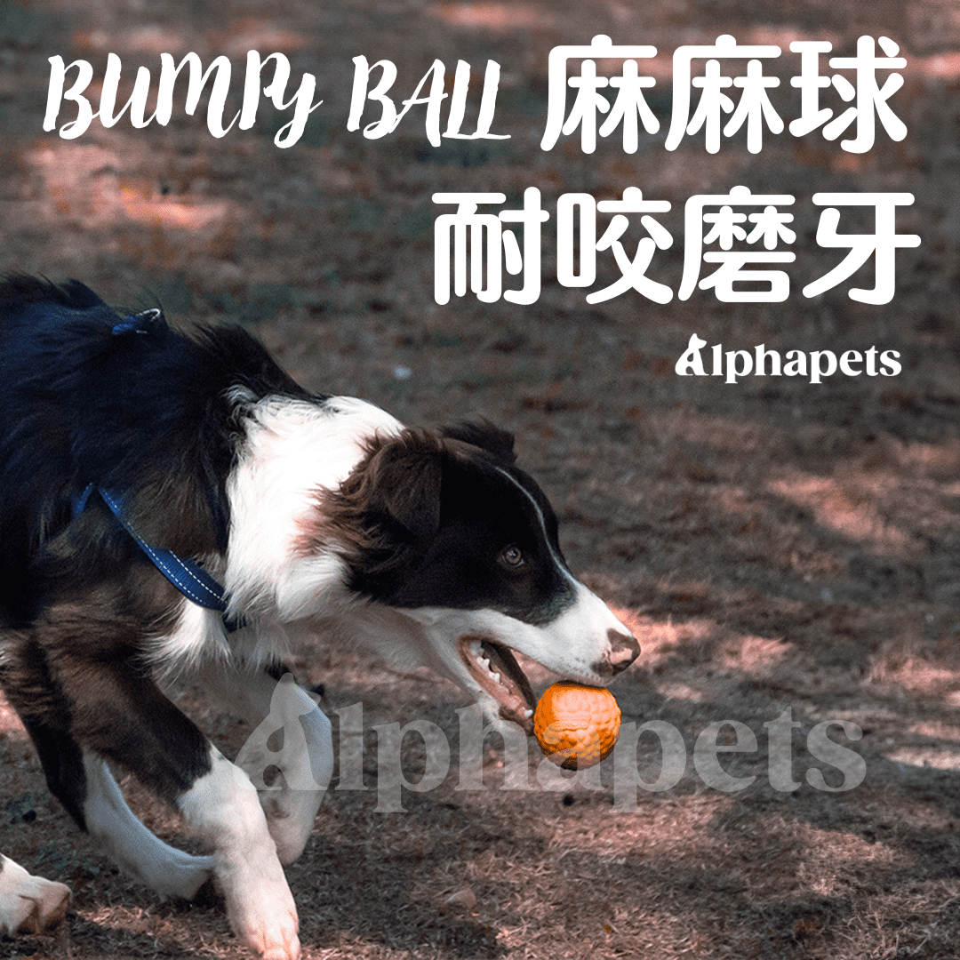 LaRoo 萊諾 假日系列 蹦蹦球 狗狗耐咬 彈力球玩具