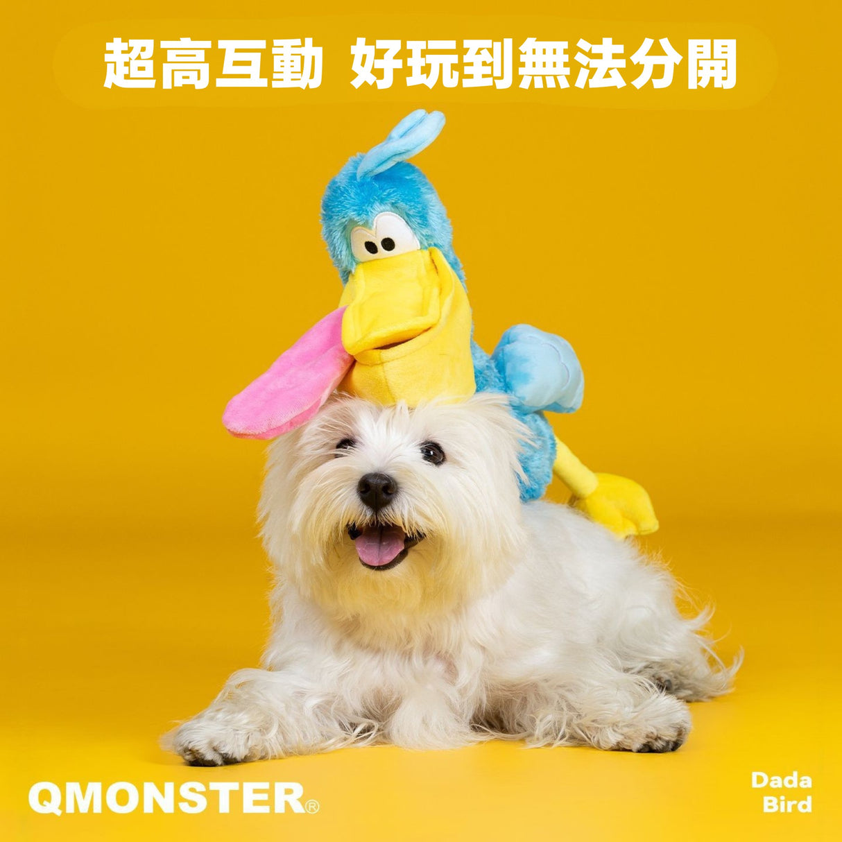 QMONSTER 噠噠鳥系列 藏食發聲毛絨益智玩具 嗅聞磨牙解悶互動玩具