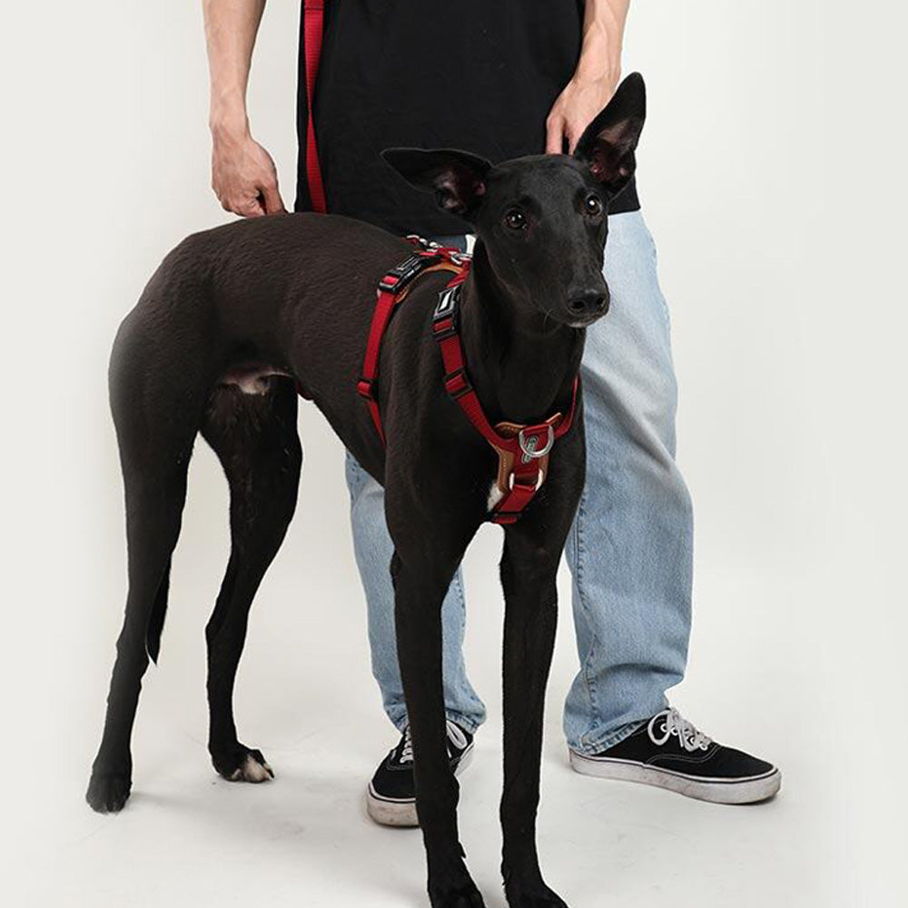 HIDREAM 寵物工字型胸背帶 5色