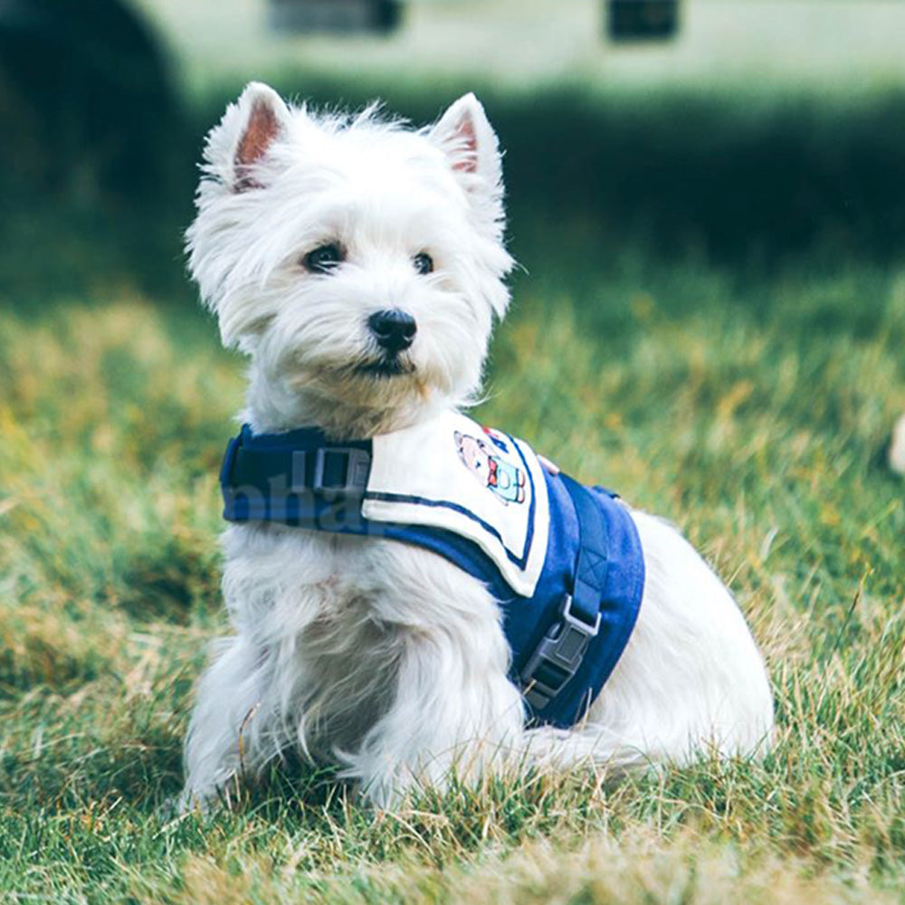 UNMIXED 你好!海軍領 寵物胸背帶+牽繩組 4種尺寸