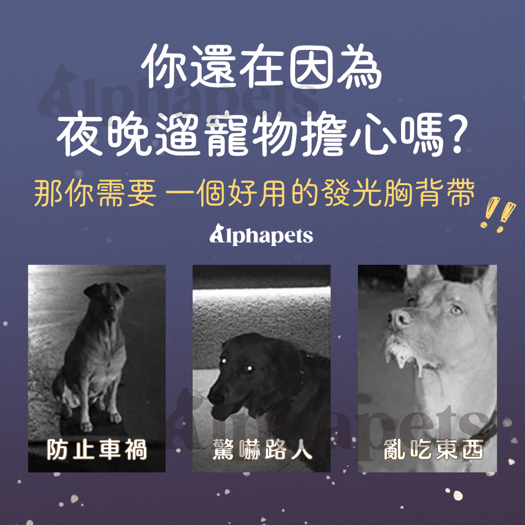 LaRoo 萊諾 魔幻森林發光胸背帶 寵物發光項圈 防水 可切換發光模式