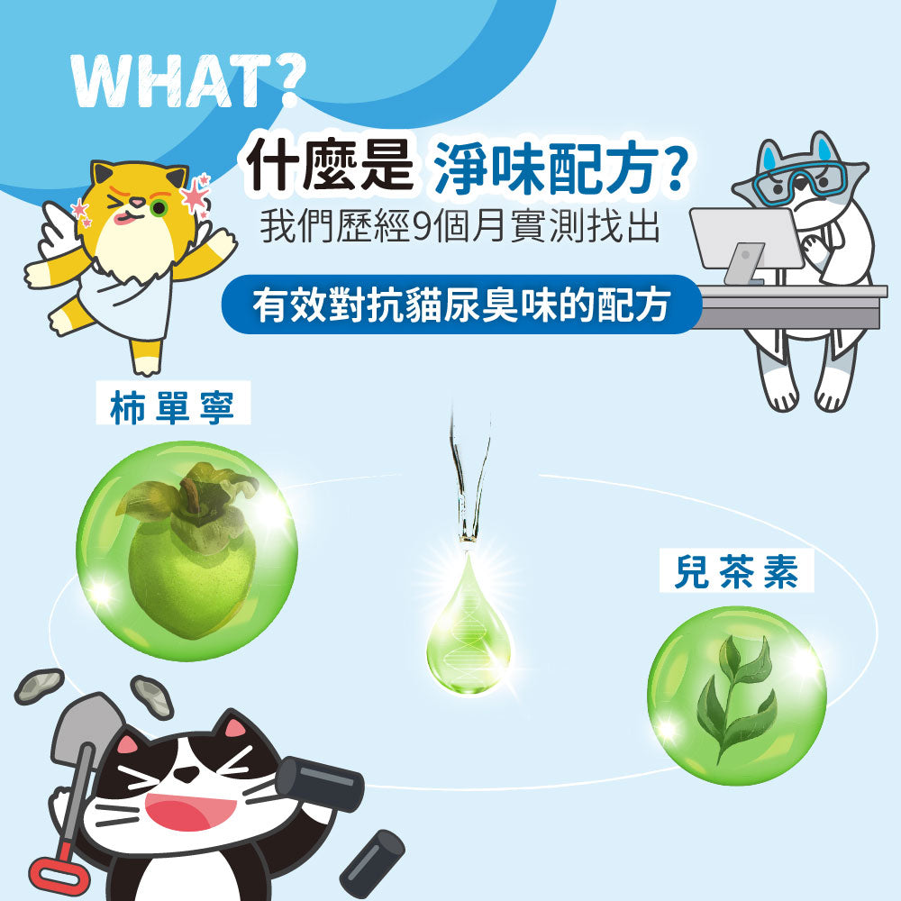 ODOUT 臭味滾 ✨新包裝✨沛點炭 貓砂強效除臭粒 80g