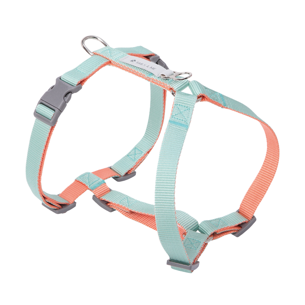 tails&me 尾巴與我 經典尼龍帶胸背帶 Two-Tone雙色系列 寵物胸背帶