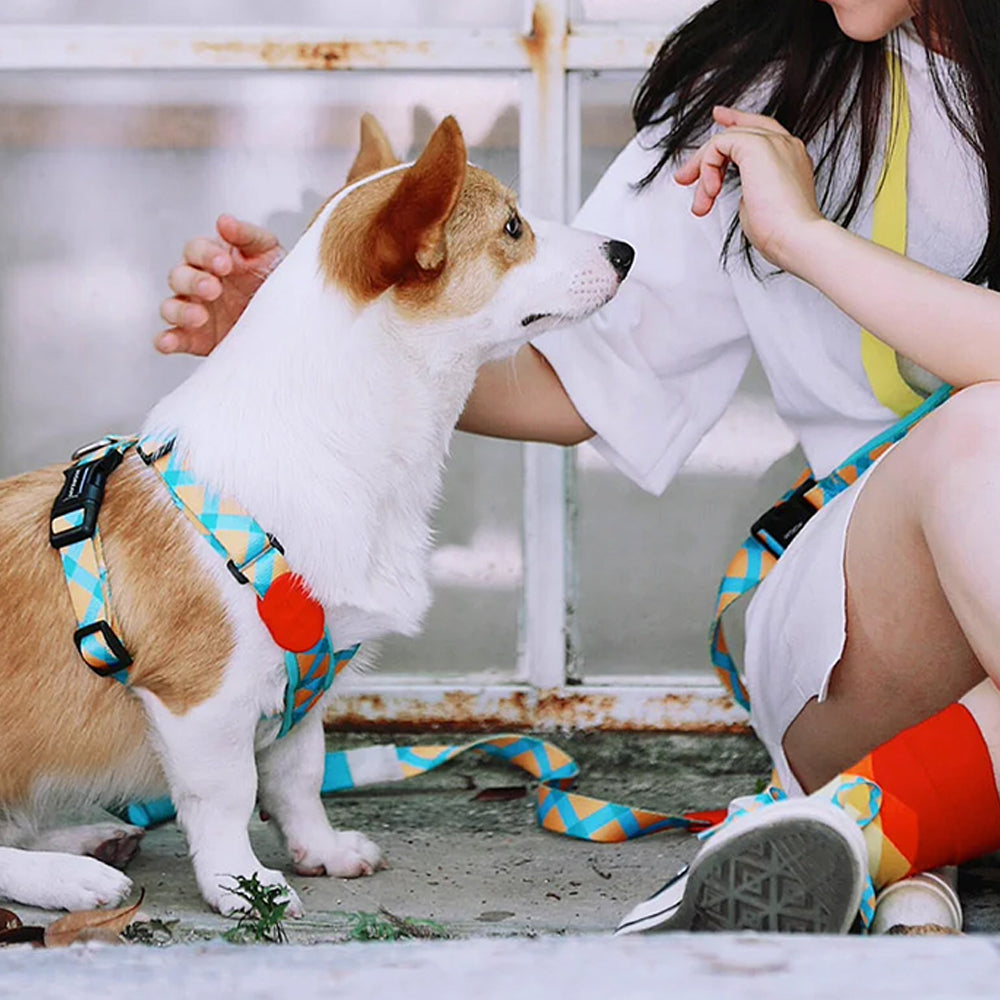 HiDREAM 繽紛PRO系列 X戰甲胸背帶 寵物胸背帶&牽繩 5款