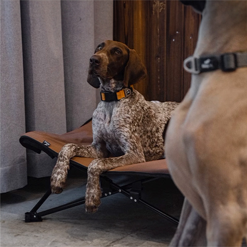 BlackDoggy 寵物戶外防潑水摺疊行軍床 / 專用睡墊 寵物床