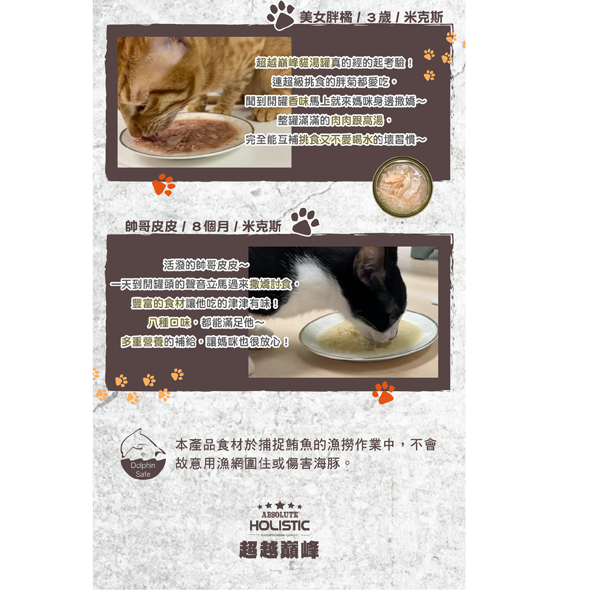 Absolute Holistic超越巔峰 無穀貓湯罐 貓副食罐 80g