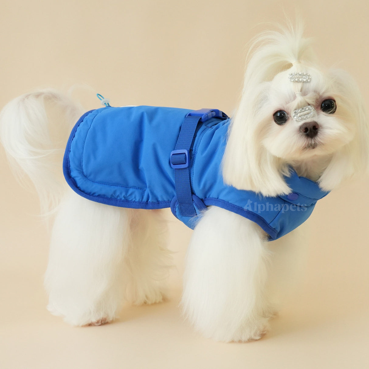 PETTRIP 圍脖可拆扣型棉衣