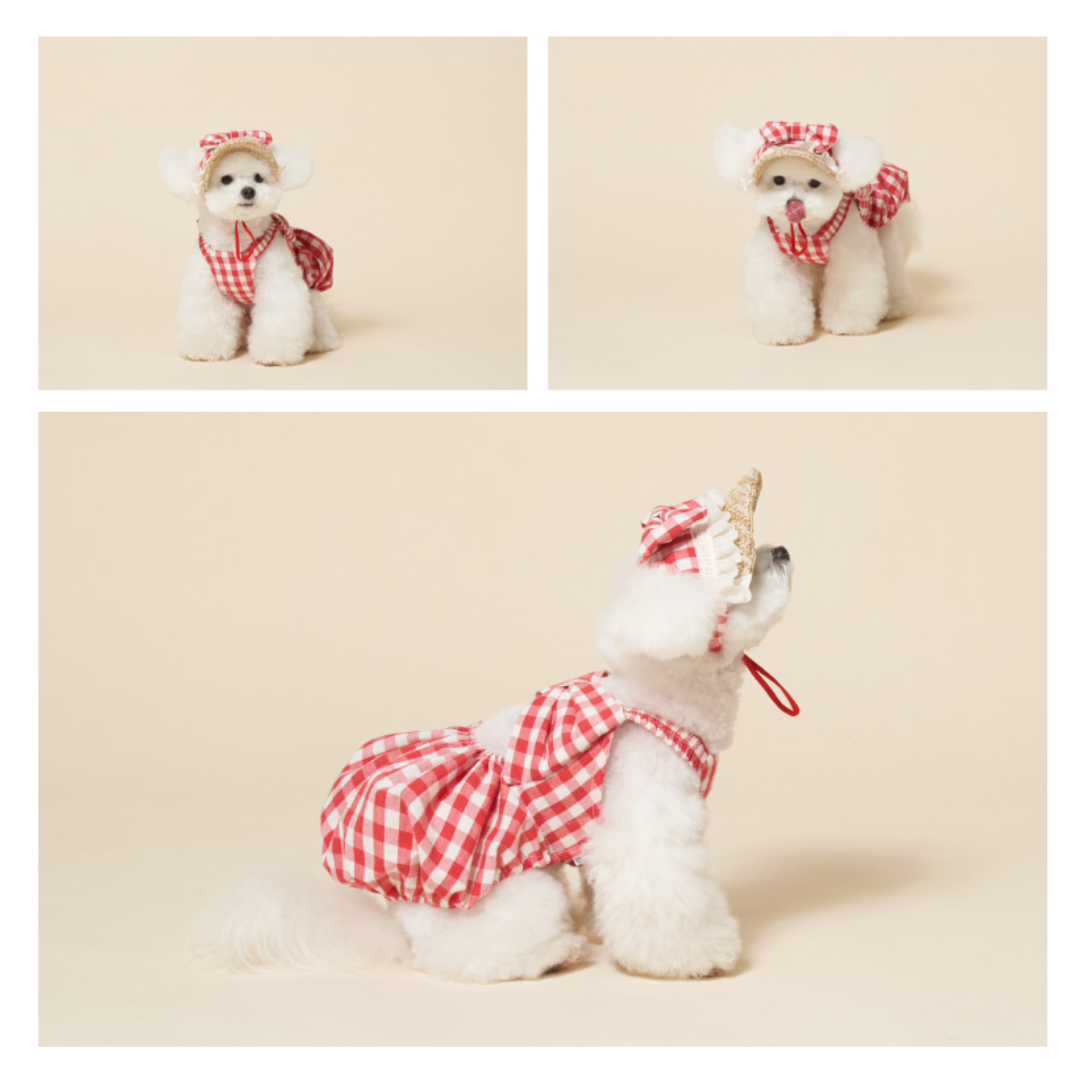 韓國MEANING 格紋蝴蝶結寵物帽 3種顏色